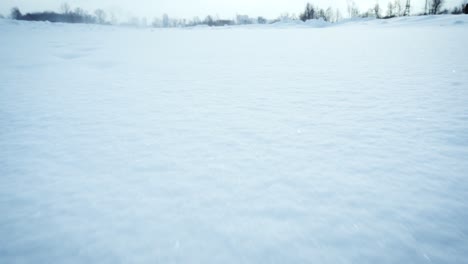 snowy landscape