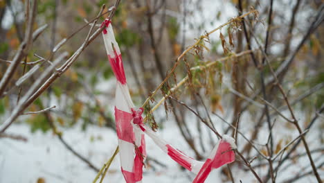 close-up of red and white plastic tape tied to dry tree branches with a blurred wintry background, showcasing icy textures and subtle motion of a car passing in the distance, blending urban