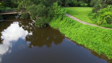 Aerial-static-video-of-a-white-water-bird-on-the-shore-of-a-canal-in-Wisner-Tract-Park-in-New-Orleans-Louisiana