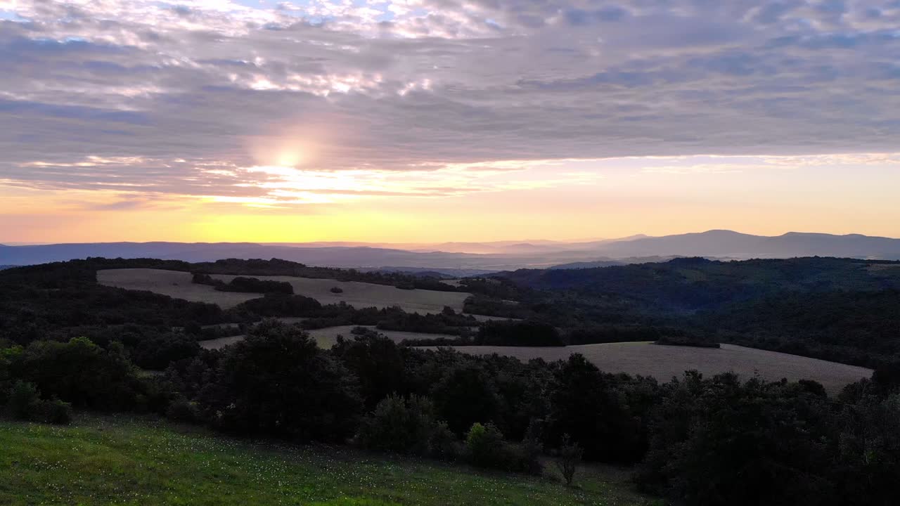 Flying down in a valley full of white wildflowers at sunrise