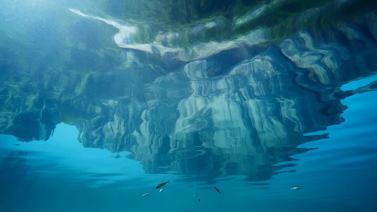 Unterwasseraufnahme aus niedriger Perspektive, die durch klares türkisfarbenes Wasser nach oben blickt, mit einer gespiegelten felsigen Küstenlinie, Ufervegetation, treibenden kleinen Fischen, hellem Oberflächenschimmer und gebrochenen Lichtmustern.