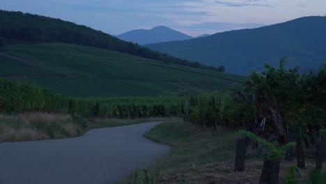 Wunderschöne-Straße,-Die-Zu-Einer-Blauen-Stunde-Zum-Dorfrand-Von-Riquewihr-Führt