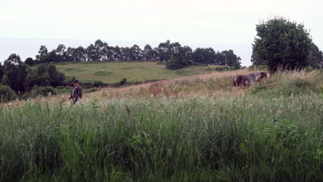 escena rural tranquila: los caballos se alimentan mientras el granjero observa en silencio