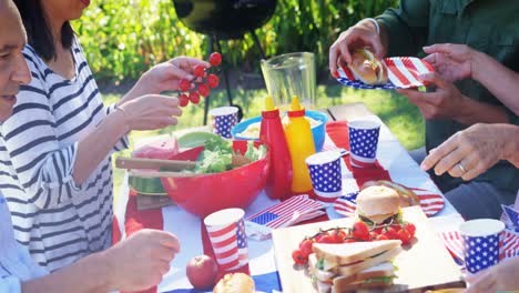 multi-generation family having meal in park 4k