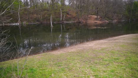 el movimiento de la cámara pasa por ramas sin hojas hasta un pequeño lago con un nido en el medio