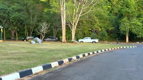 a scenic view of a curved road lined with trees and parked cars, offering a peaceful outdoor setting.