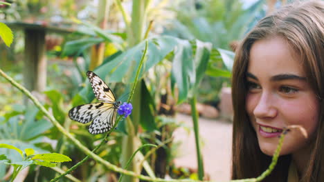 Telefon,-Schmetterling-Und-Mädchen,-Die-Im-Zoo-Fotografieren