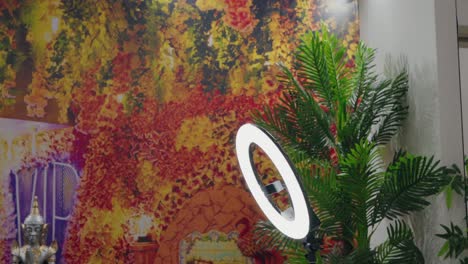 luz de anillo estética que complementa la decoración de follaje vibrante y un telón de fondo cálido y artístico