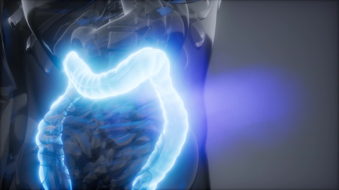 Human Colon Radiology Exam