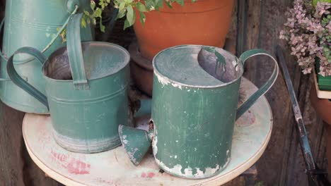 botes de riego verdes viejos y plantas en macetas