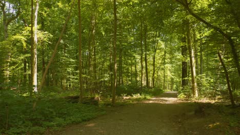 Peaceful-Pathway-At-The-Urban-Public-Park-Of-Ter-Kamerenbos-In-Brussels,-Belgium