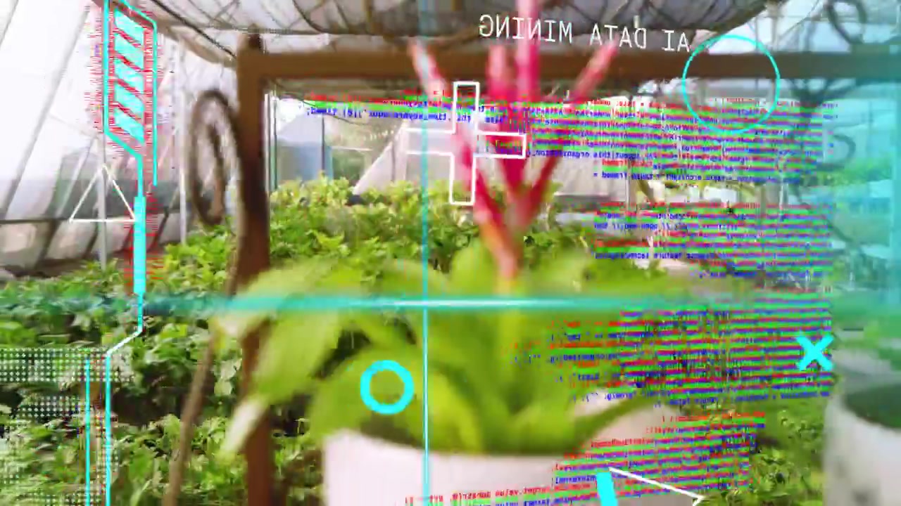 Camera drifting forward right, bringing pot forward, HUD glitching, resetting to reveal plants