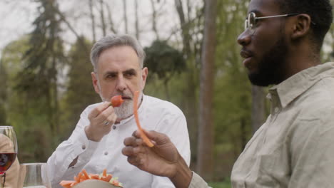 twee vrienden van middelbare leeftijd die aan tafel zitten te eten en te praten tijdens een buitenfeestje in het park