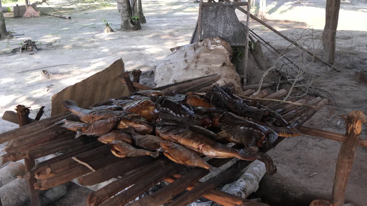 Amazonian Indigenous tribe - kubewa - rio negro amazon river - alligator, fish