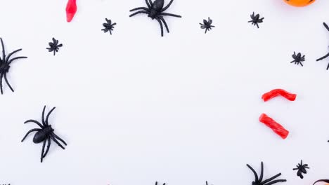 Animation-Von-Spinnen-Auf-Weißem-Hintergrund