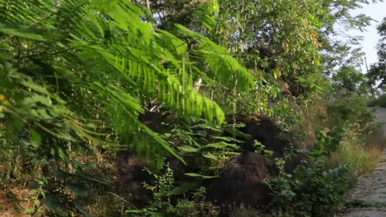 나라하리 파르바타 dk ka 인도로 향하는 길