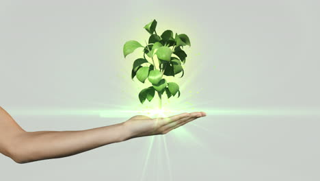 hand presenting digital green plant growing