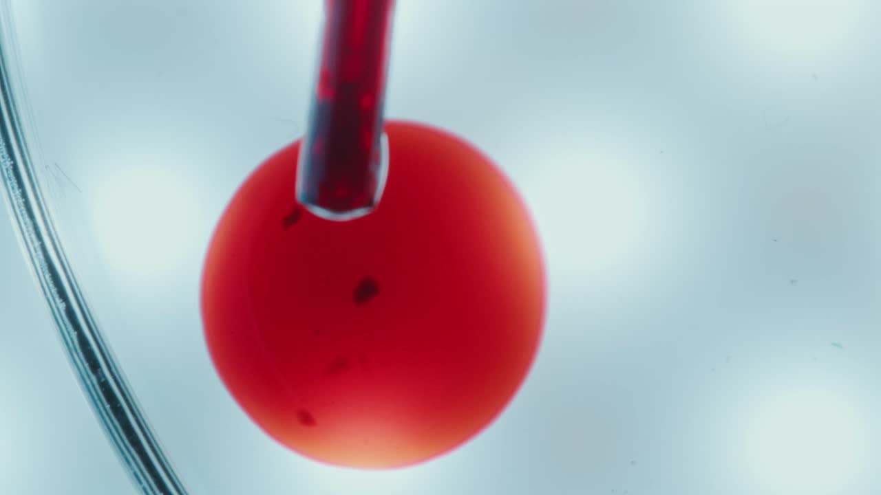 Pipette Dripping Blood in Glass Container during Laboratory Test