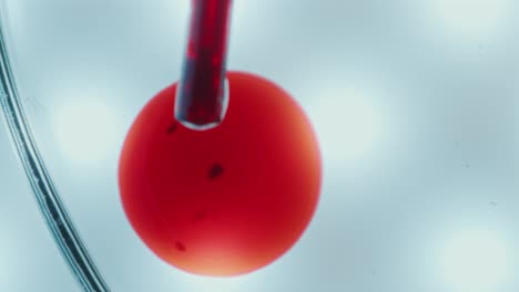 pipette dripping blood in glass container during laboratory test