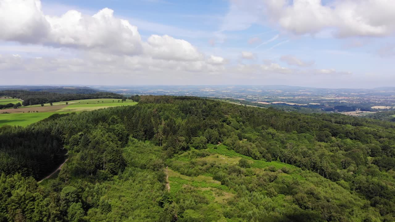 Aerial View Of Lush green forest covering Staple Hill in Blackdown Hills AONB, Somerset, England, under a cloudy summer sky