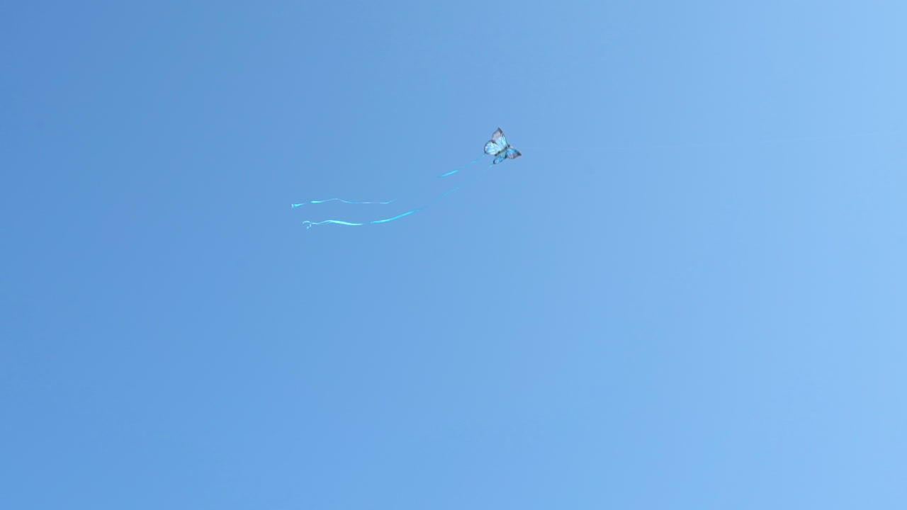 나비가 하늘 높이 솟아오르는 모습을 한 연