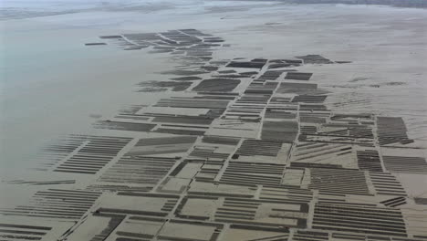 aerial view of oyster farm with tractors at work in cancale, france