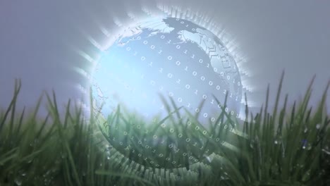 animación digital de un globo en el césped
