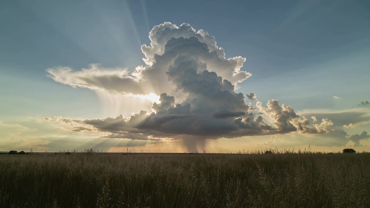 Growing cumulonimbus cloud forming dark rain shaft over tall grass, sun shifting causing rimlight