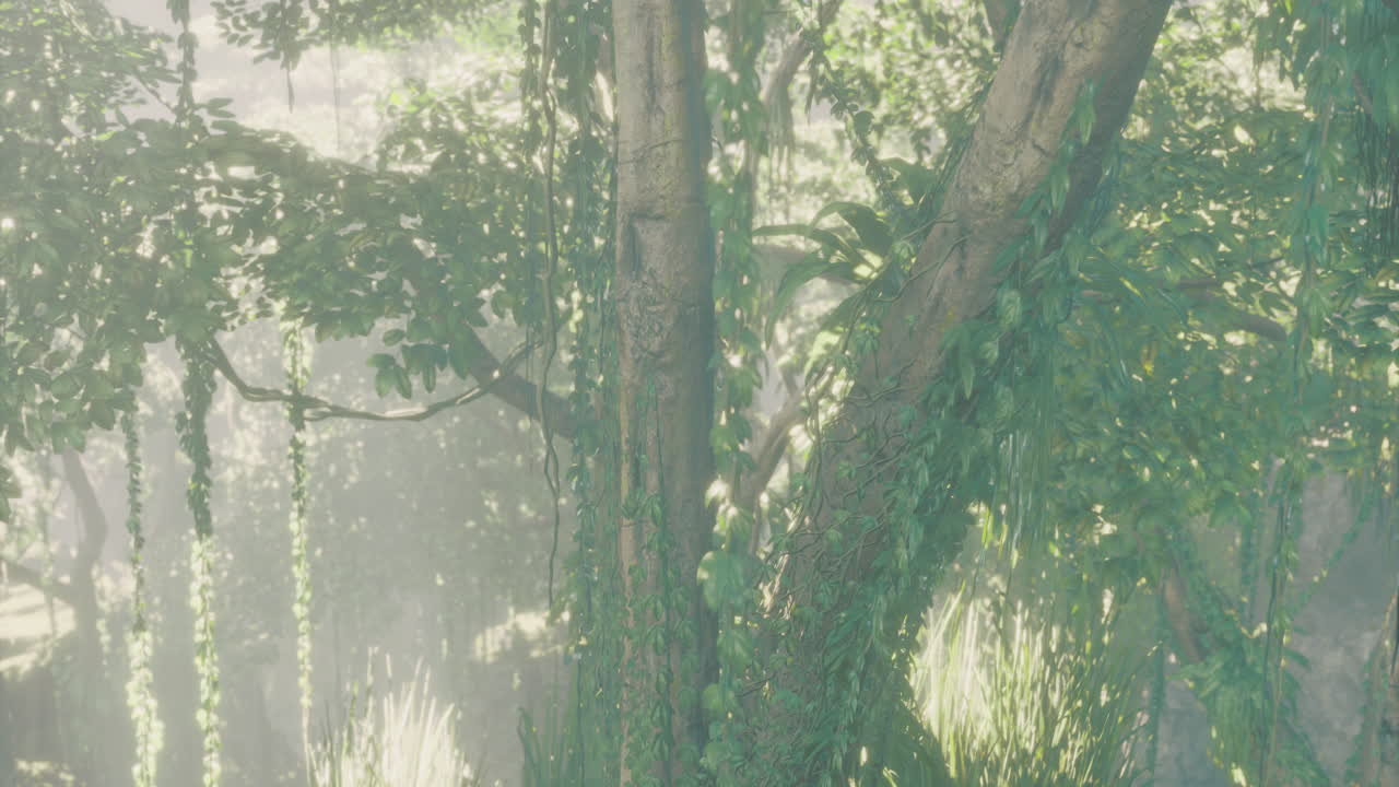 Lush greenery thriving in the tranquil forest at midday under soft sunlight