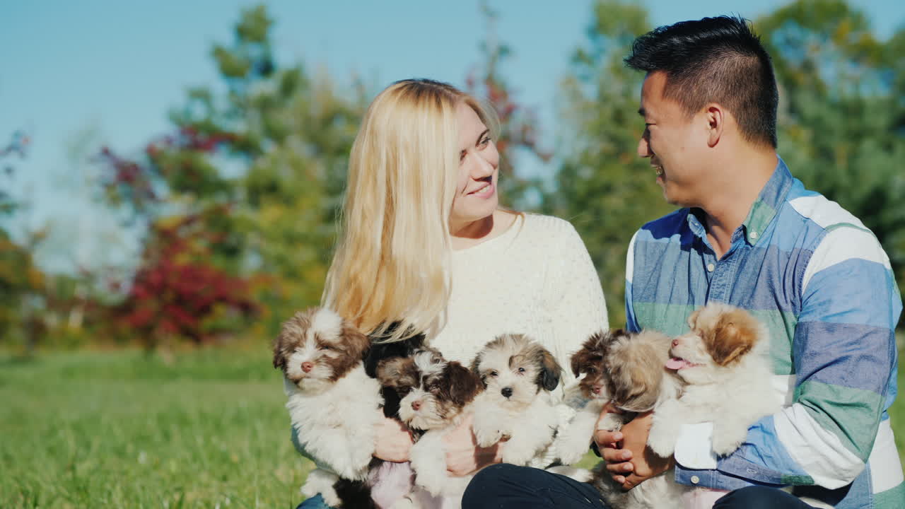강아지의 쓰레기를 들고 행복한 커플
