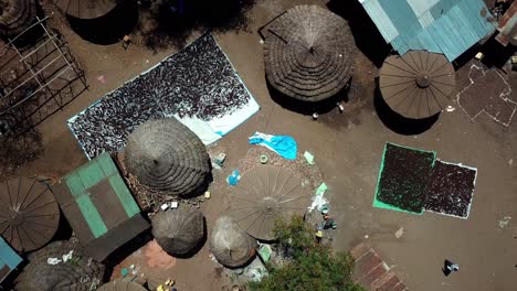 Indigenous-People-Drying-Crops-Under-The-Sun-In-Moroto-Village-In-Karamoja,-Uganda