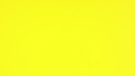 la papelería de trabajo naranja y el cuaderno abierto aparecen en el tema amarillo.
