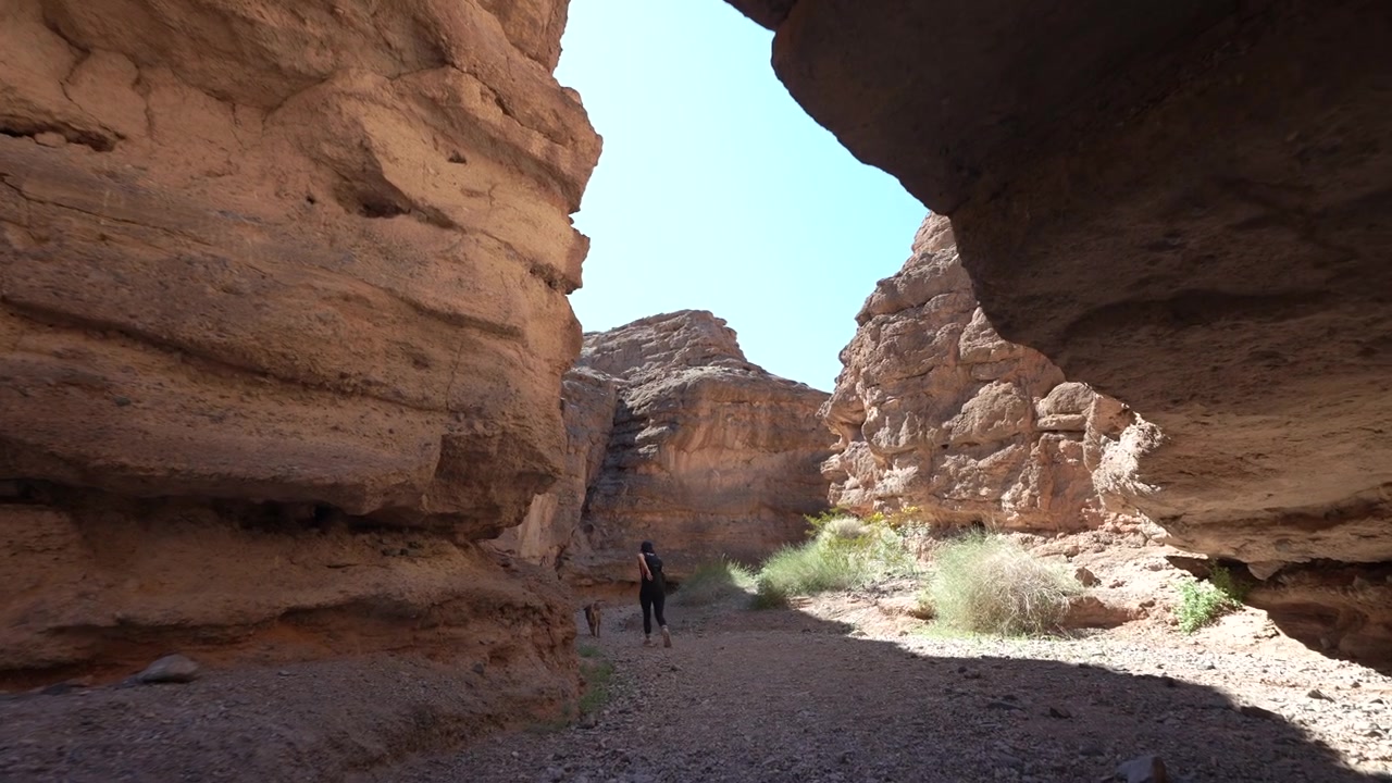 Mujer y perro en sendero de senderismo en un cañón estrecho bajo acantilados de arenisca. Cañón White Owl, Nevada, EE. UU.