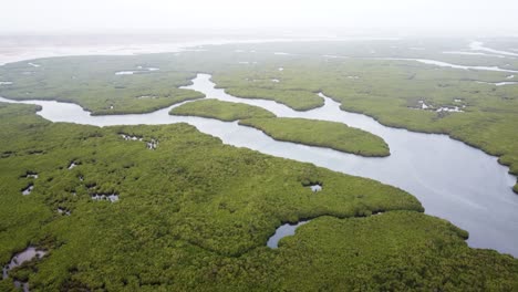 ariel view of a river winding through mangroves in senegal