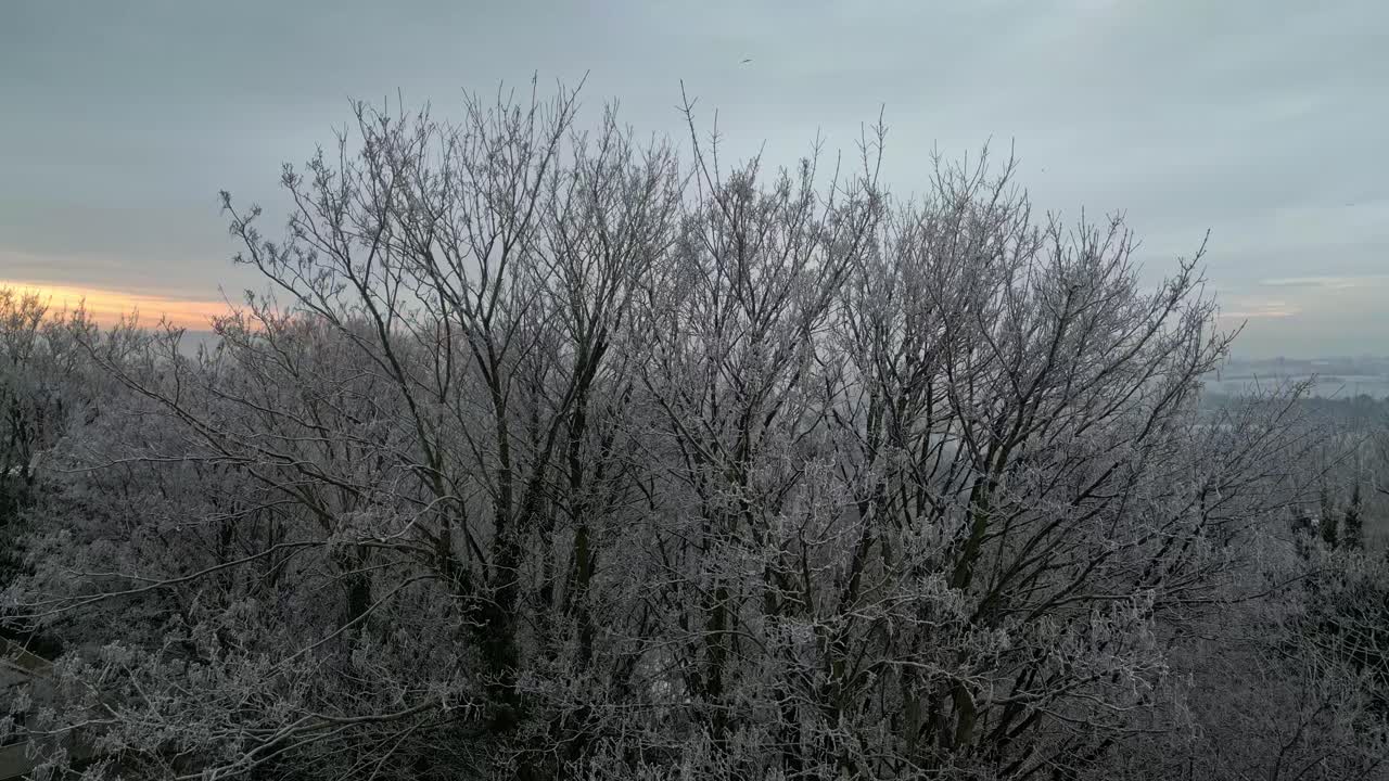 겨울에 잎이 없고 얼어붙은 서리로 덮인 나무의 슬로우 모션 시네마틱 공중 드론 영상