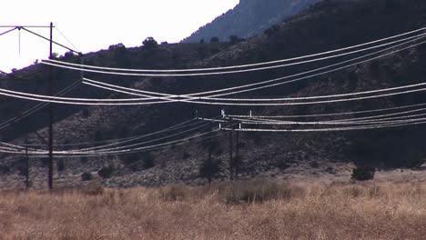 high tension wires reflect the sun as they stretch across a desert landscape