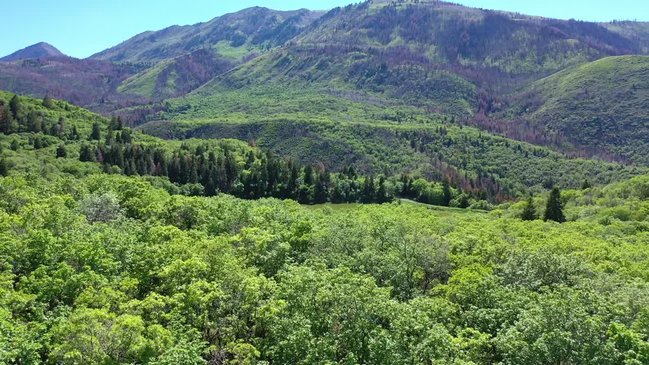 우타 리 산맥 위에 있는 페이슨 캐니언 (payson canyon) 에 있는 네보 (nebo) 에 있는 메이플 레이크 (maple lake) 에 대한 공중 촬영