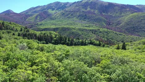 aerial shot maple lake on nebo loop up payson canyon above utah valley mountains