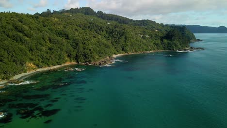 aerial view of forested coromandel peninsula coastline on a beautiful summers day with turquoise glassy water