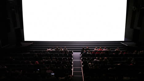 empty screen in cinema