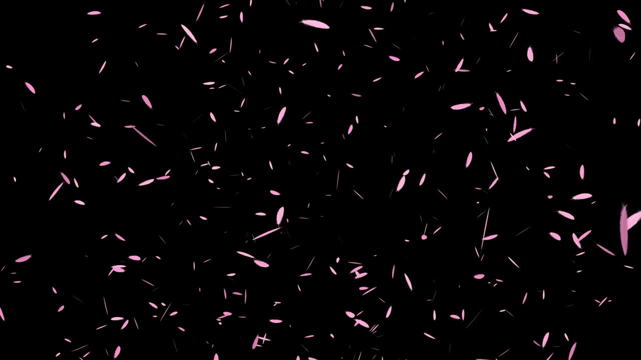 분홍색 털 날아가는 입자 모션 그래픽