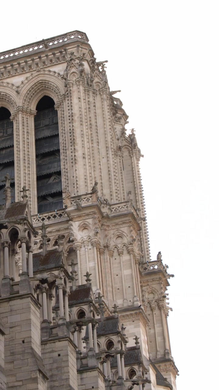Inquadratura inclinata dal basso dell'intricata facciata in pietra e dei contrafforti della Cattedrale di Notre Dame
