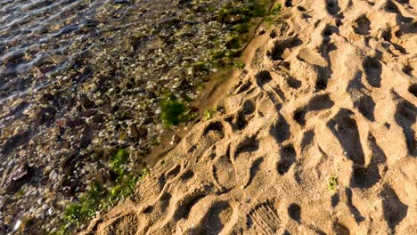 footprints in sand near water's edge