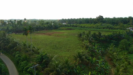 aerial flying towards cassava plantation, medan johor outskirts