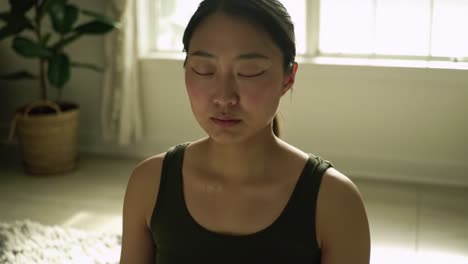 mindful meditation: a quiet moment of reflection and tranquility in a sunlit room, capturing the essence of inner peace and self-discovery through stillness