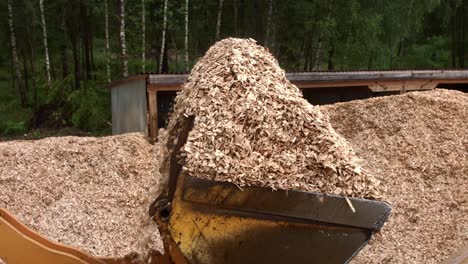 Front-end-loader-pouring-sawdust-from-big-heap-into-truck-body