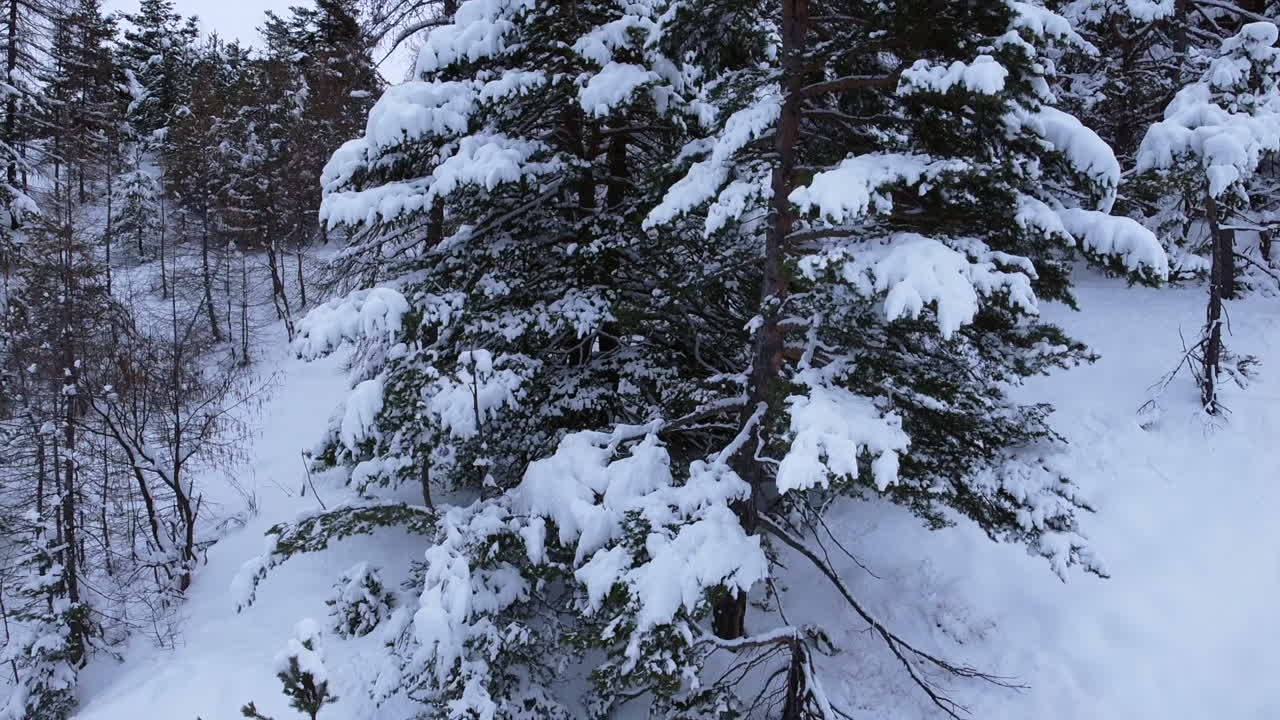 겨울 풍경, 아름다운 조감도