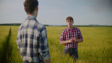 two farmers discussing in a wheat field