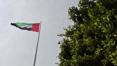 The-UAE-flag-gracefully-waves-amidst-lush-green-trees-at-the-Abu-Dhabi-Corniche,-embodying-the-concept-of-a-green-future-in-the-United-Arab-Emirates