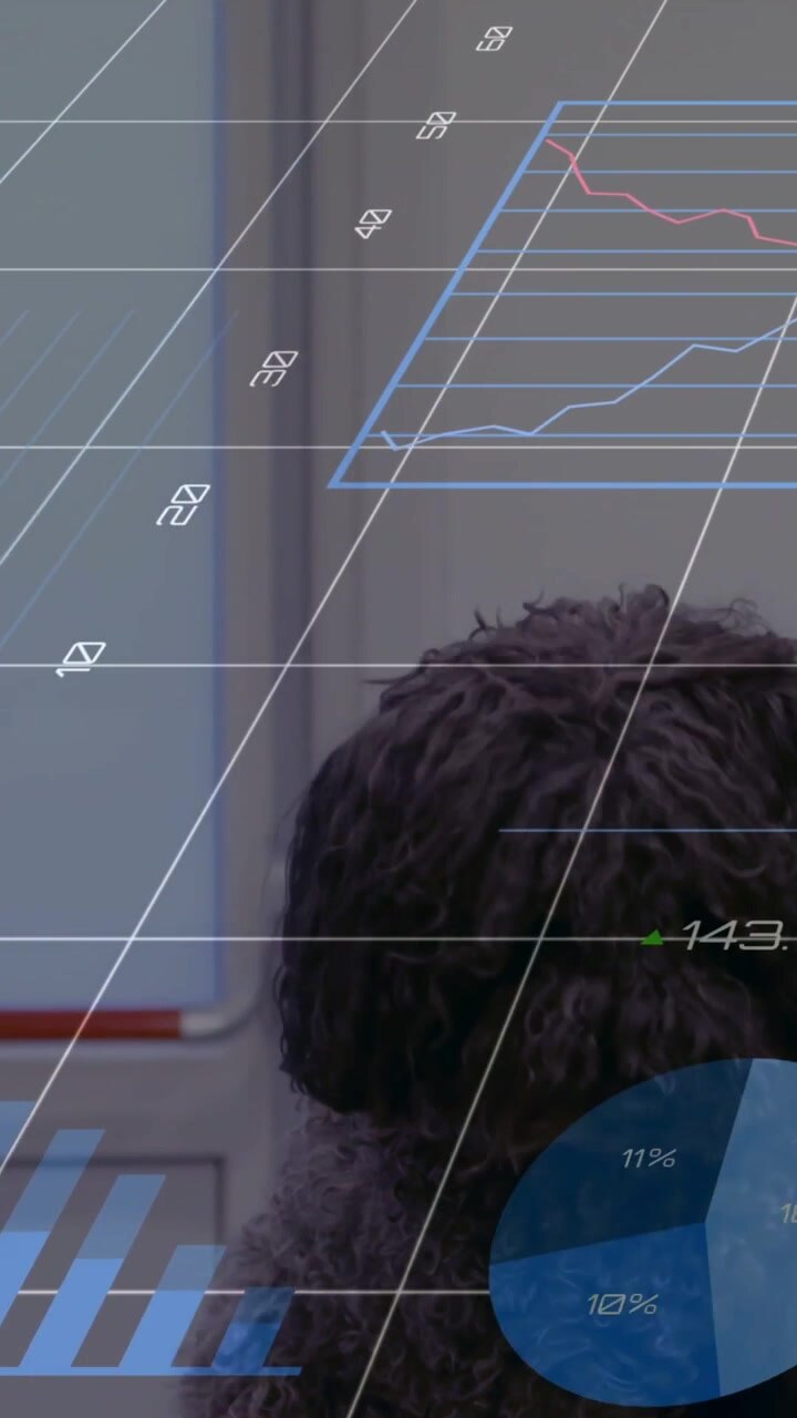 Video verticale: Cane riccio scuro seduto, griglia di dati che appare per una demo, mano che accarezza, grafici in movimento.